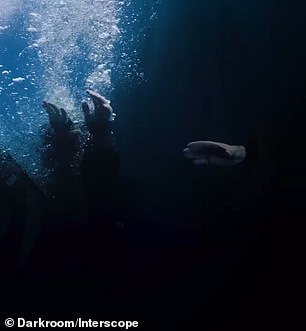 The watery cover image and accompanying 18-second video teaser was shot by underwater photographer William Drumm