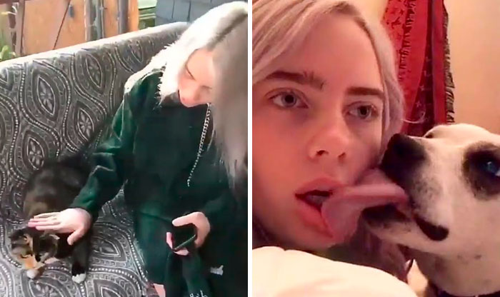 Billie Eilish 'Fails' At Fostering A Pit Bull In Quarantine By Adopting It