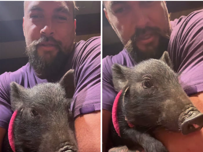 Jason Momoa Adopts a Pig, Adds to His Menagerie of Pets