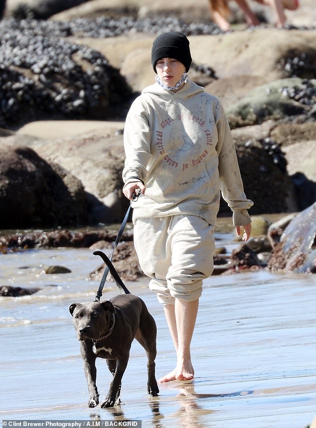 Puppy love: Stepping out with her collaborator brother and his girlfriend Claudio Sulewski, Billie was seen letting loose in the sand over the weekend with her dogs Shark and Peaches