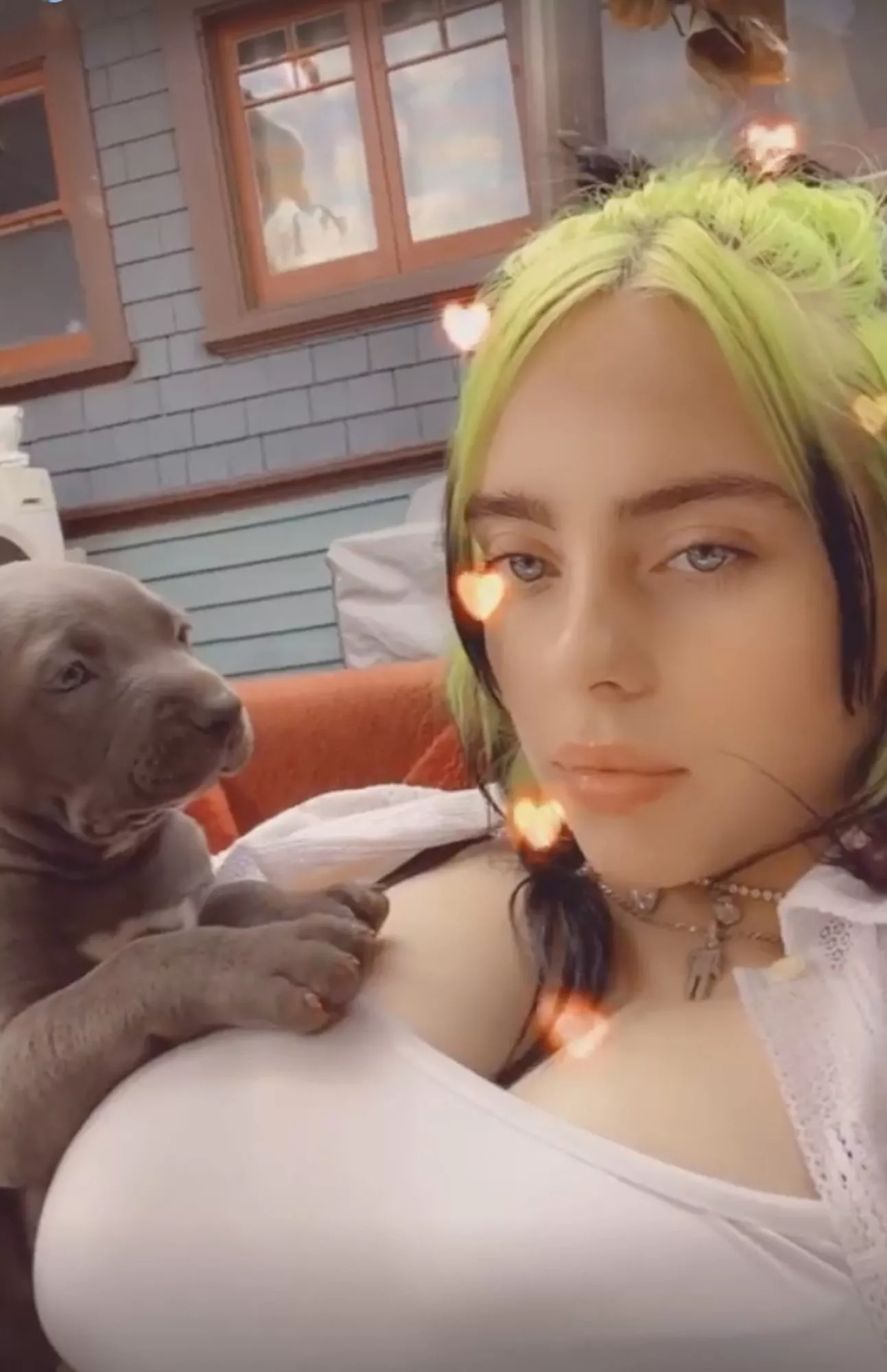 Billie Eilish Instagram