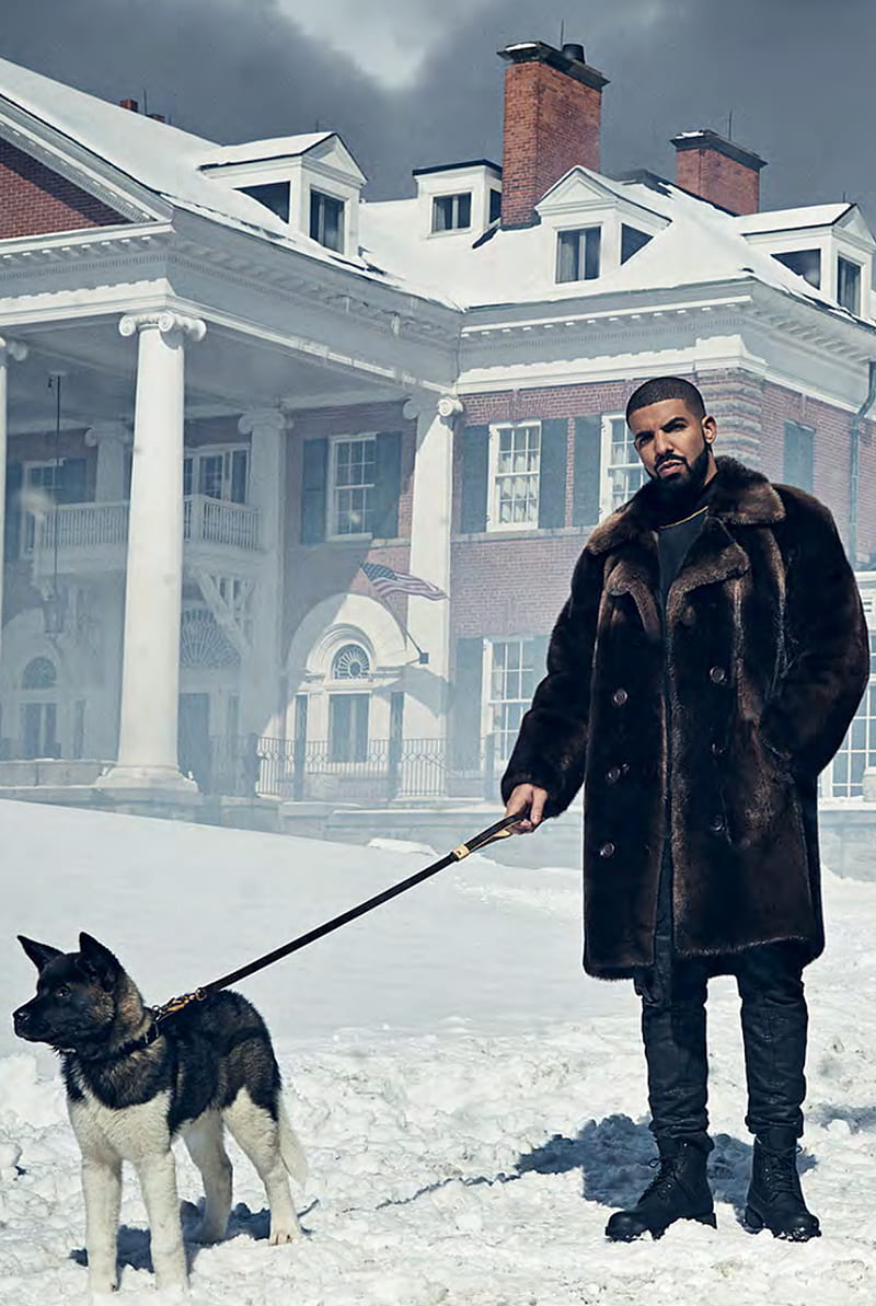 Drake, dog, snow, views, HD phone wallpaper | Peakpx