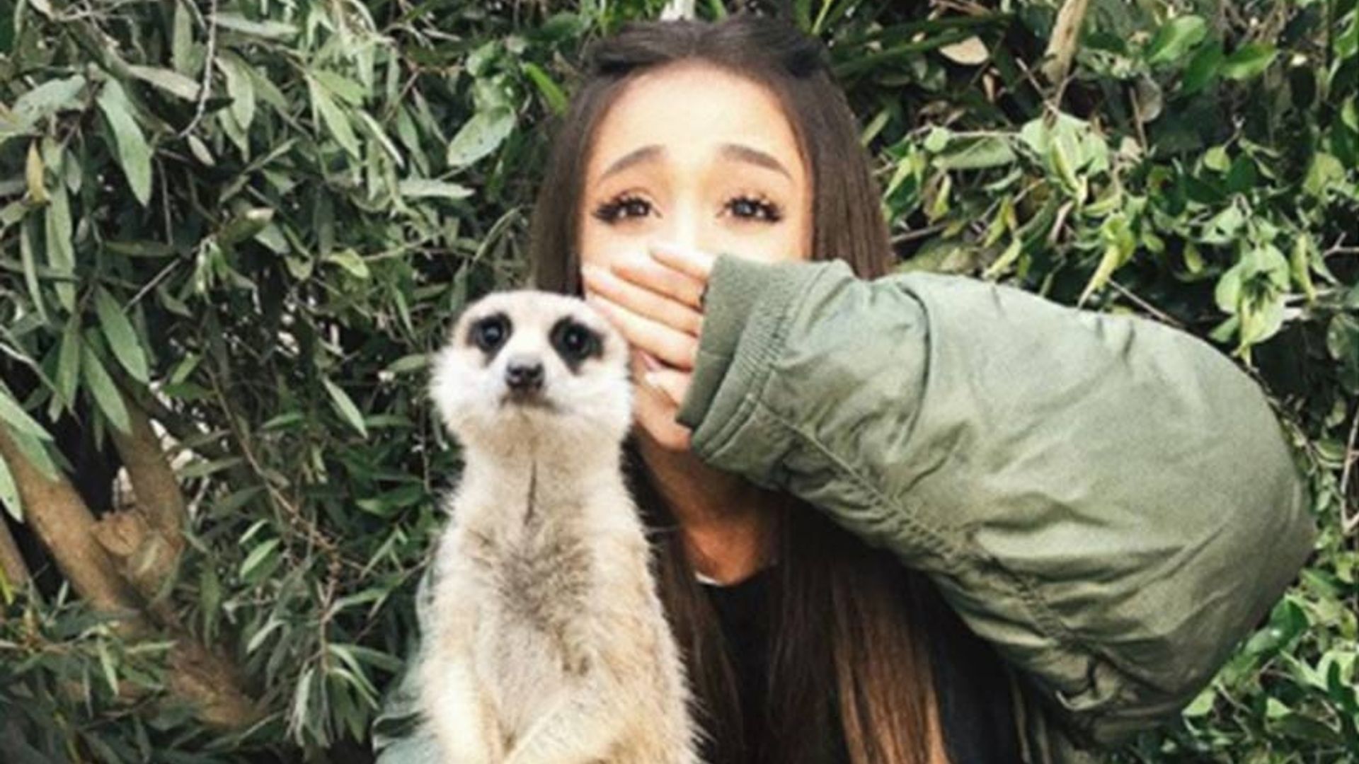 Ariana Grande visits the zoo as her Australian tour comes to an end | HELLO!