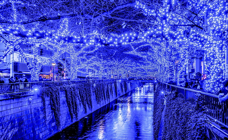 HD wallpaper: Tokyo Blue Grotto Japan, blue string lights, Asia, illuminated | Wallpaper Flare