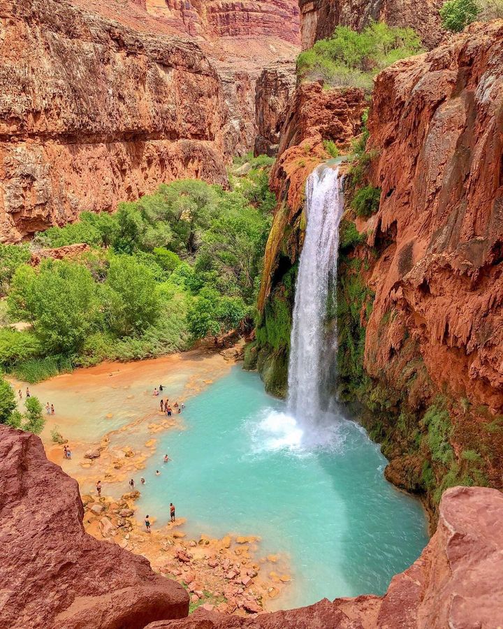 May be an image of Havasu Falls and nature