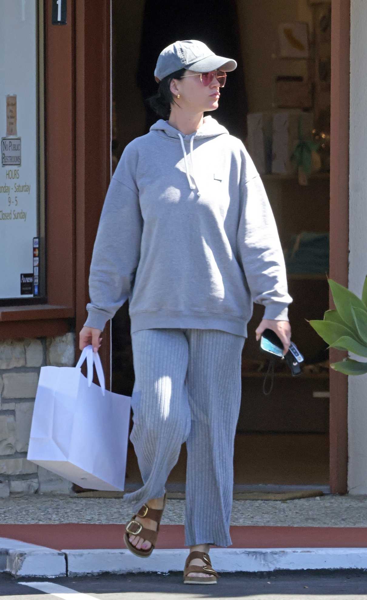 Katy Perry in a Grey Hoodie