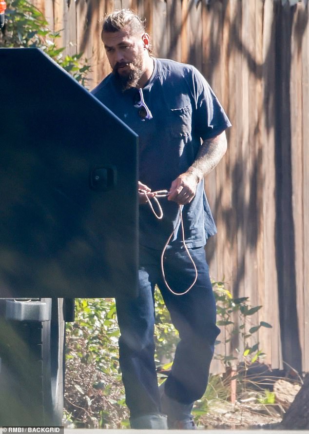 Jason Momoa loads a Christmas tree onto his truck before delivering it to  ex wife Lisa Bonet's home | Daily Mail Online