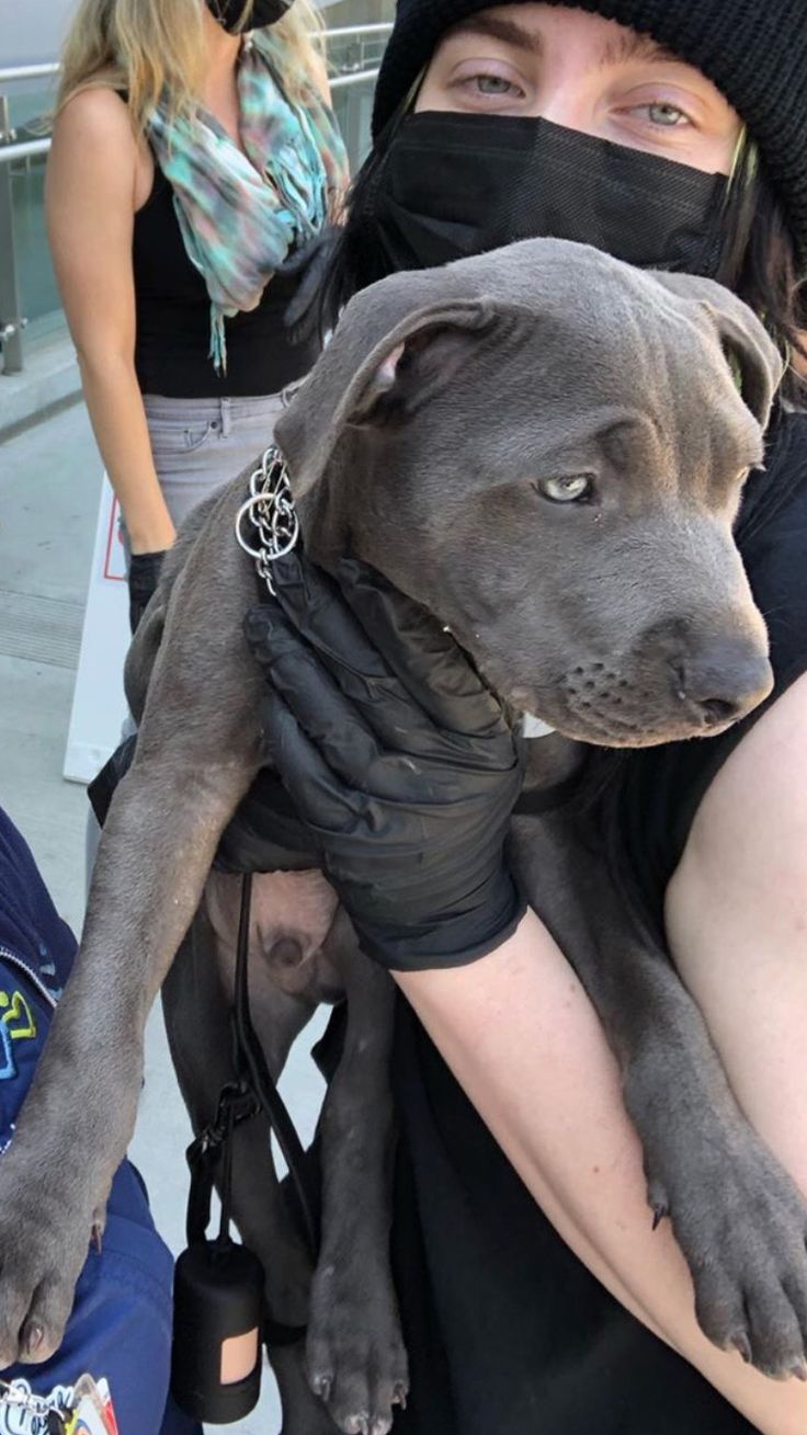 Billie with her puppy delivering food with Support and Feed