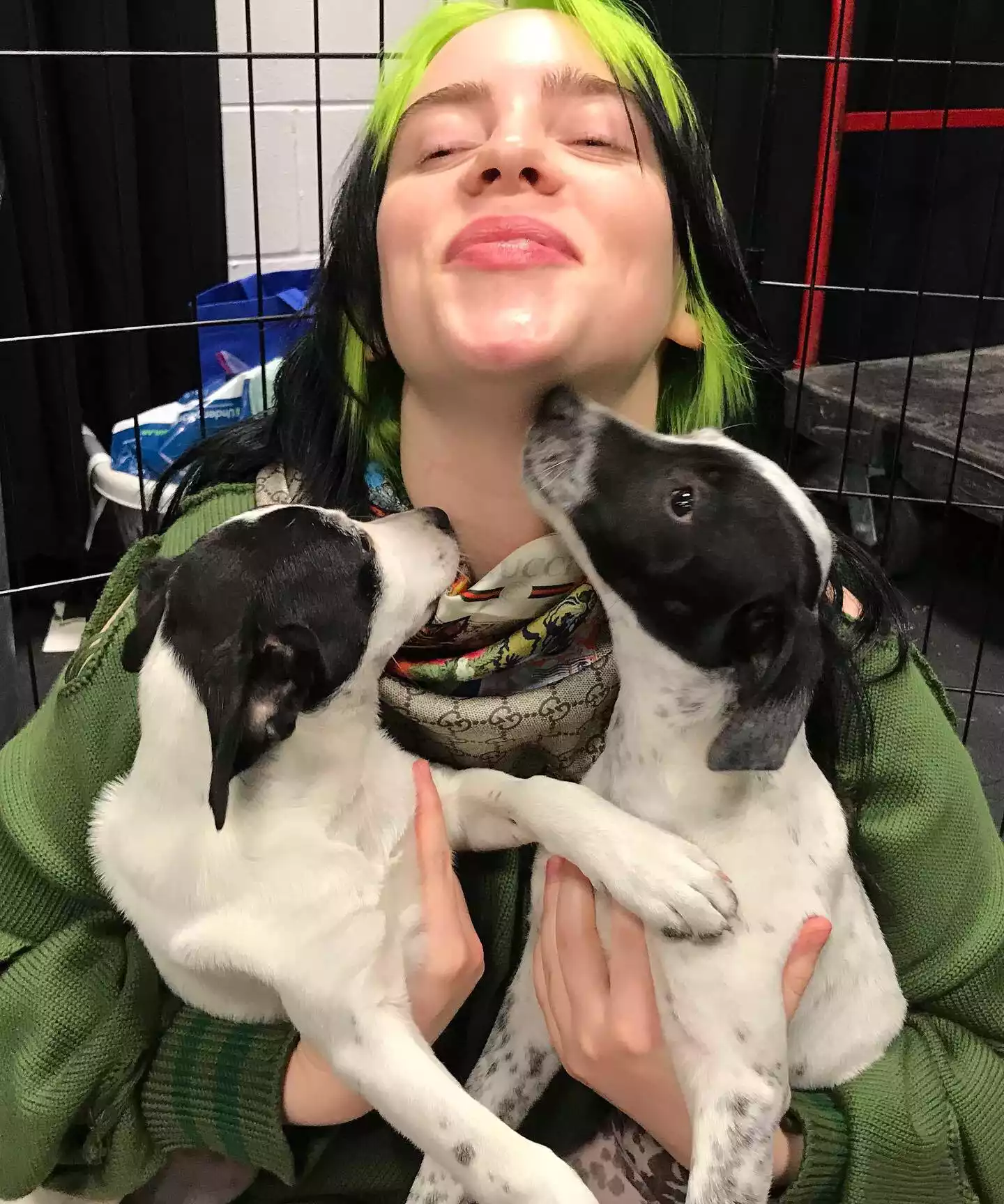 Billie Eilish with Puppies