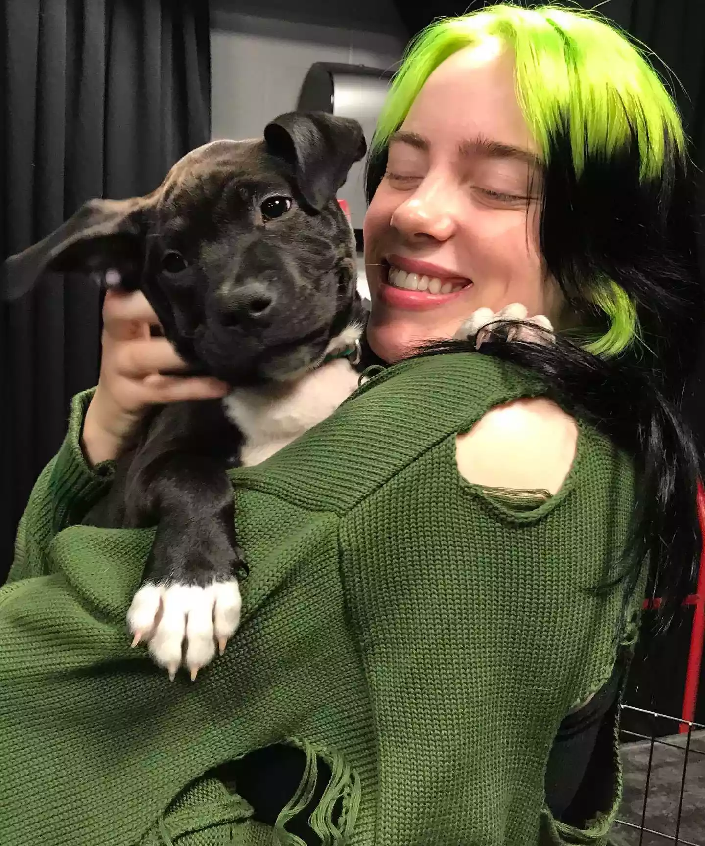 Billie Eilish with Puppies