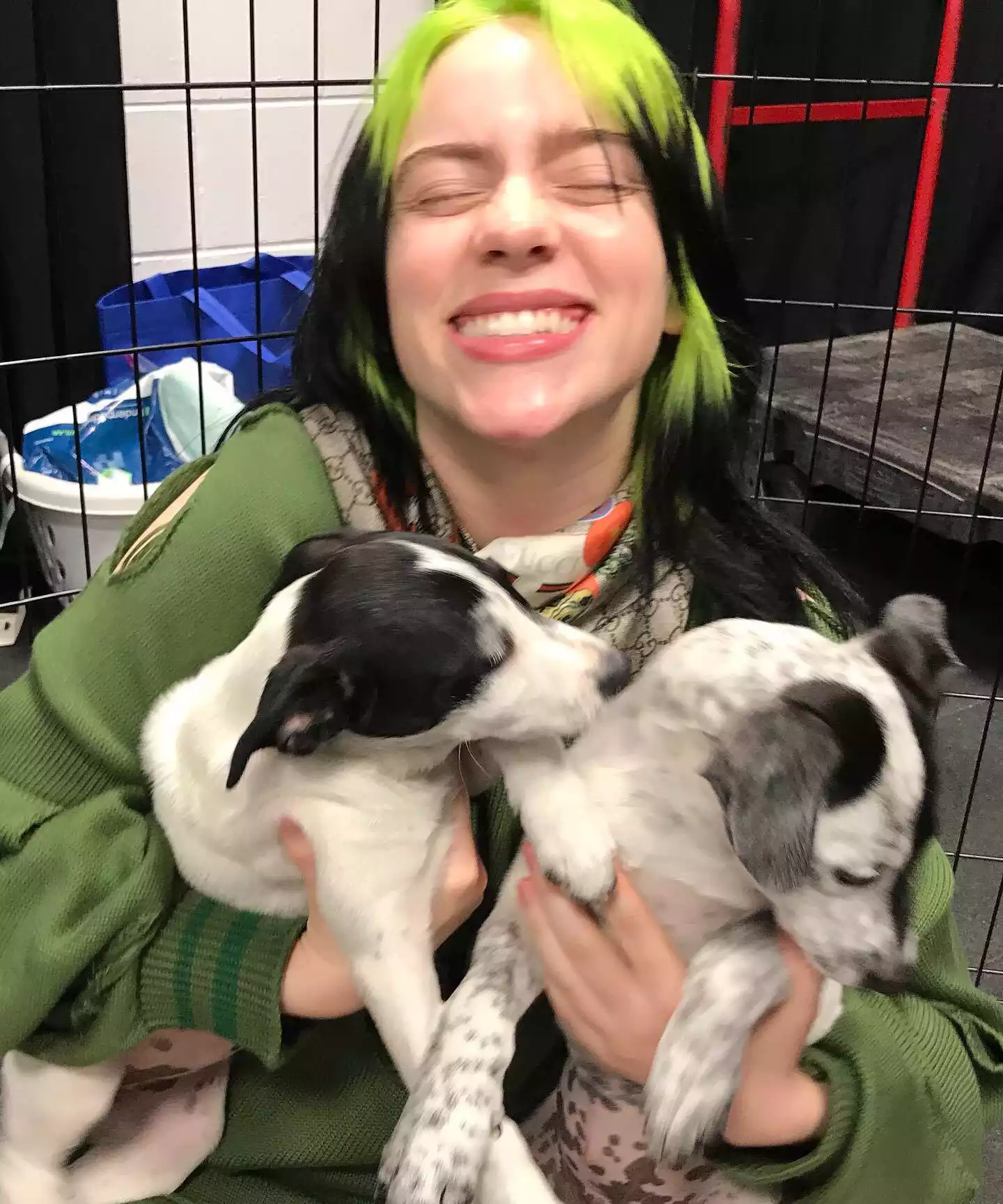 Billie Eilish with Puppies